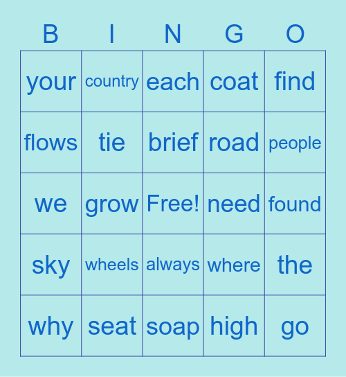 long i vowel teams Bingo Card