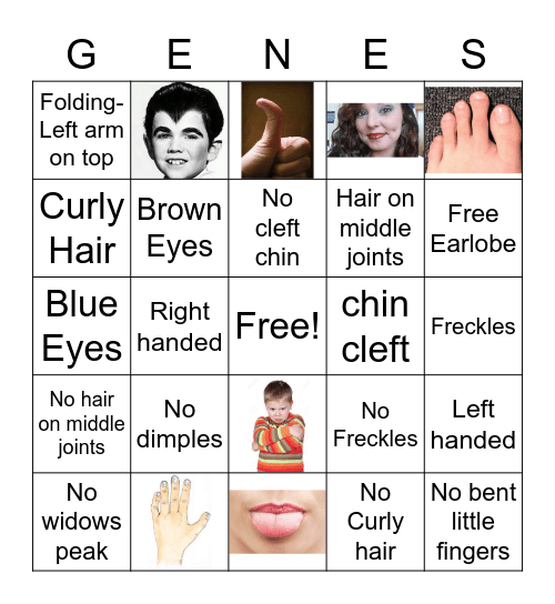 Genetic Trait Bingo Card