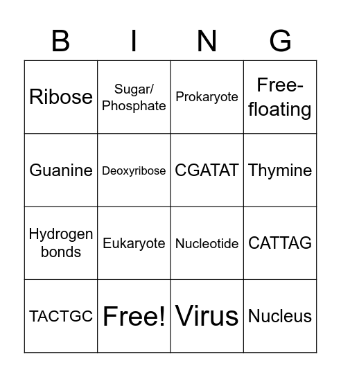DNA Structure/Replication Bingo Card
