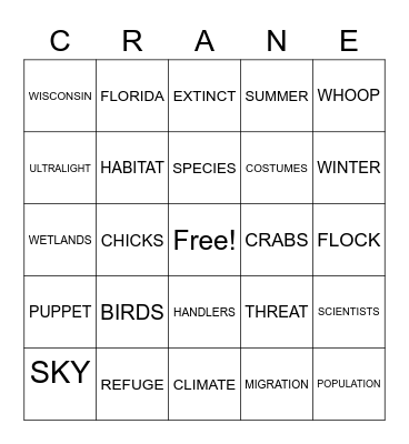 Born to Fly Bingo Card