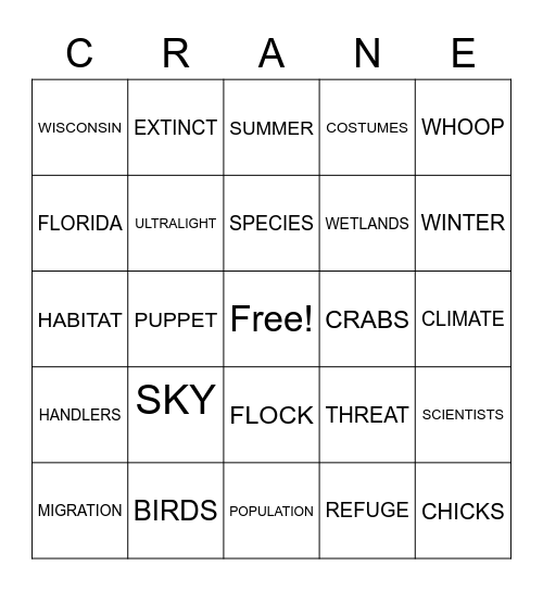 Born to Fly Bingo Card
