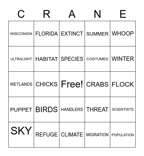 Born to Fly Bingo Card