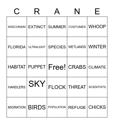 Born to Fly Bingo Card