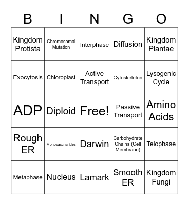 Biology STAAR/EOC Review Bingo Card