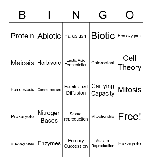 1st Semester EOC Review Bingo Card