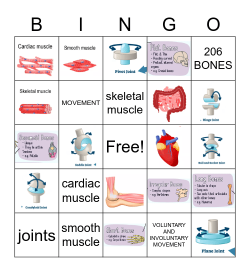 Locomotion Bingo Card