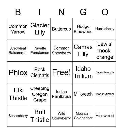 Idaho Wildflower Bingo! Bingo Card