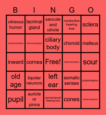 special senses Bingo Card
