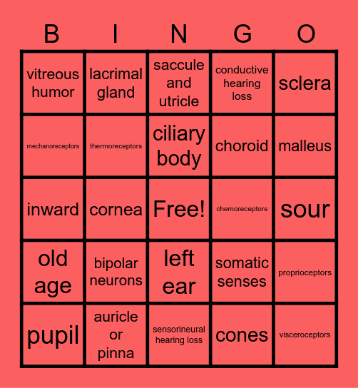special senses Bingo Card