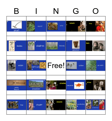 nselxcin bingo Card