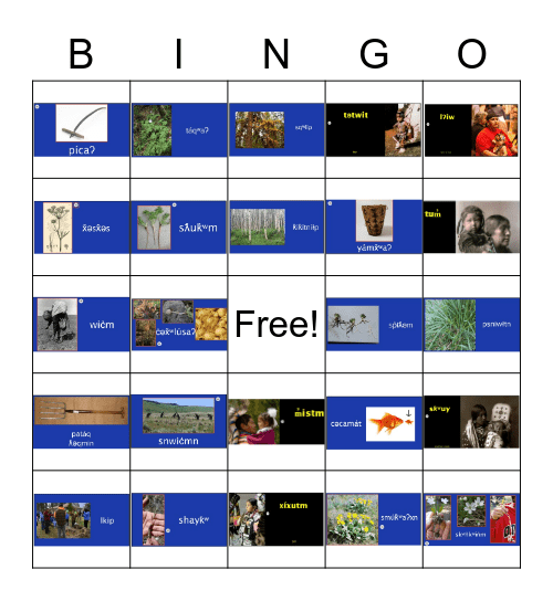 nselxcin bingo Card