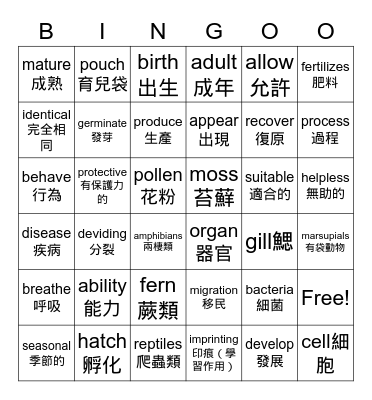 Life Cycles Bingo Card