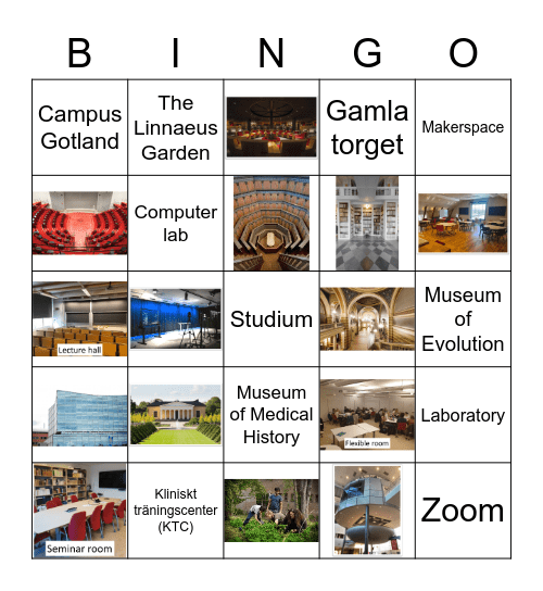 Academic Teacher Training Course Bingo Card