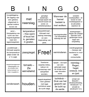 Begrippen aardrijkskunde Bingo Card