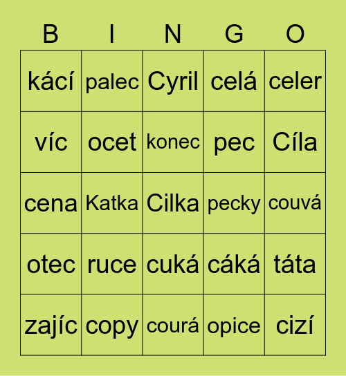 Slova s písmenem C,c Bingo Card