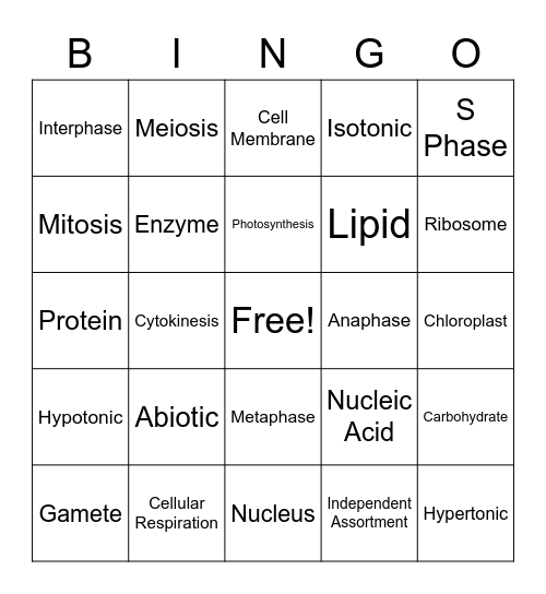 Bio Bingo Card 1 Bingo Card