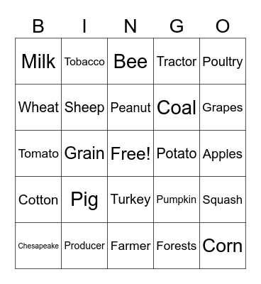 AGG SCIENCE Bingo Card