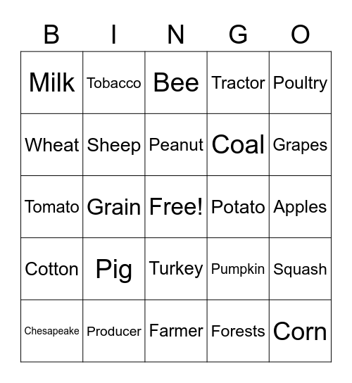 AGG SCIENCE Bingo Card