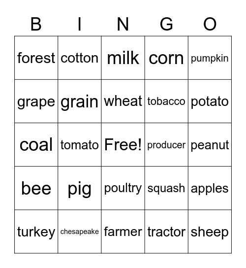 Agg science Bingo Card