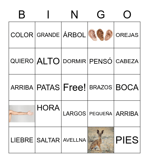 ADIVINA CUÁNTO TE QUIERO Bingo Card