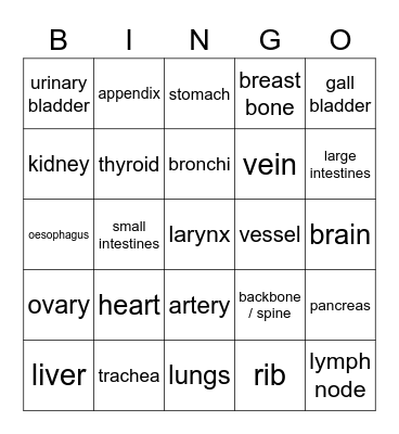 internal organs Bingo Card