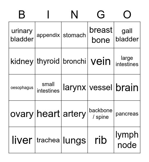 internal organs Bingo Card