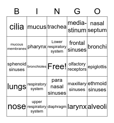 Respiratory System Bingo Card