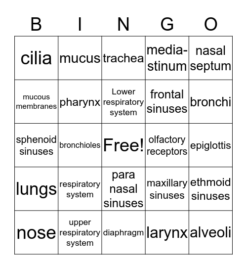 Respiratory System Bingo Card