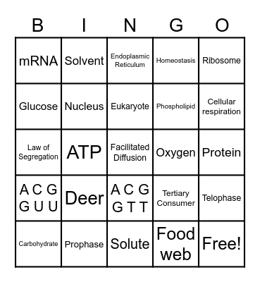 Biology EOC Review Bingo #1 Bingo Card