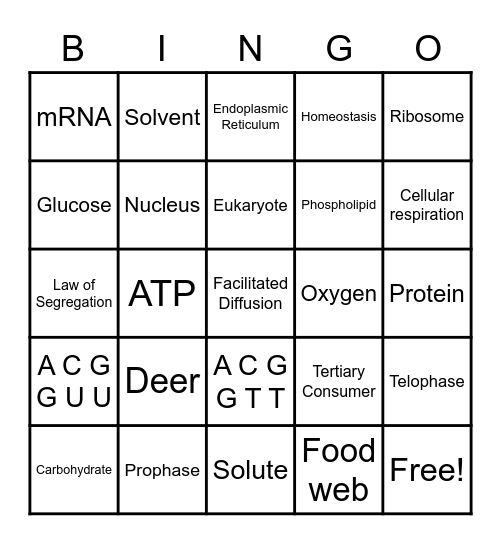 Biology EOC Review Bingo #1 Bingo Card