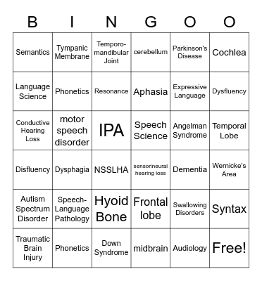 Communication Disorders & Sciences Bingo Card