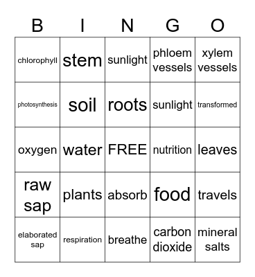 Plant Nutrition Bingo Card