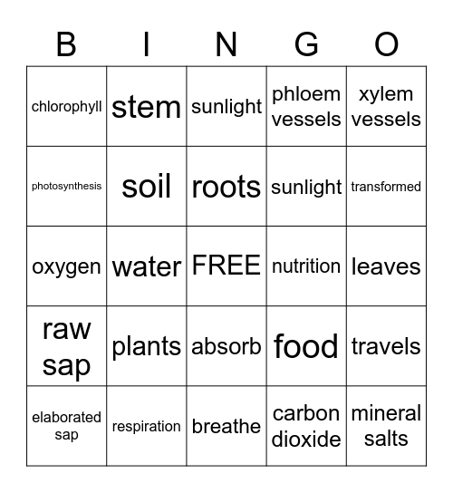 Plant Nutrition Bingo Card