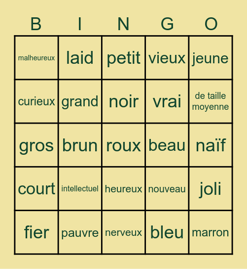 3A.1 Les Adjectifs (en français) Bingo Card