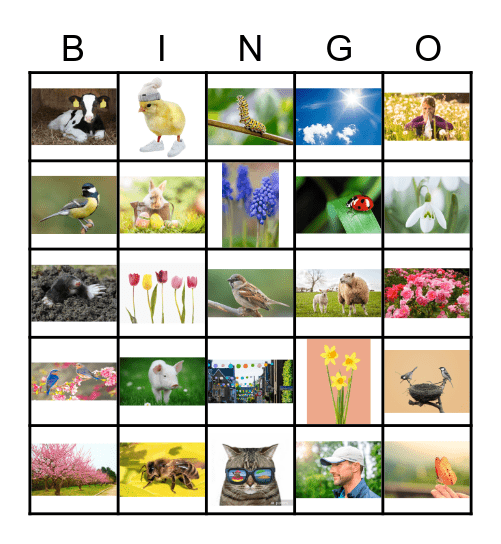 Lente-Bingo Card