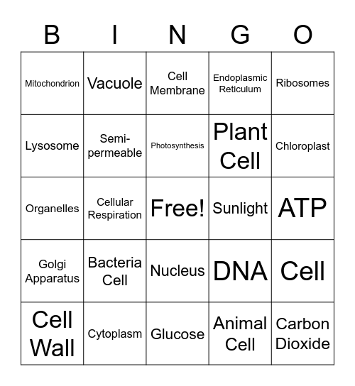 Cell Structure & Function Bingo Card