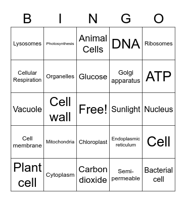 Cell Structure & Function Bingo Card