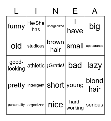 Adjectives Bingo Card