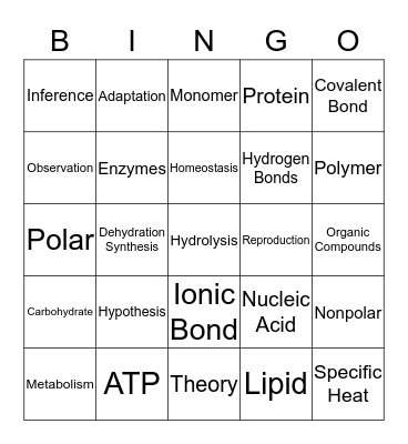 Vocabulary Bingo Card