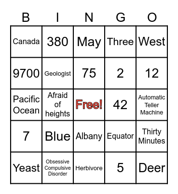 Random Questions Bingo Card