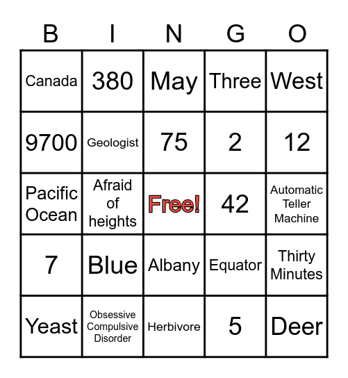 Random Questions Bingo Card