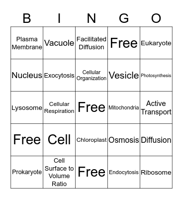 Vocabulary Bingo Card