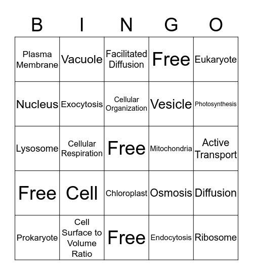 Vocabulary Bingo Card