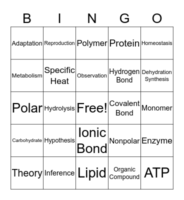 Vocabulary Bingo Card