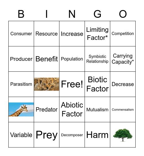 Amoeba Sisters Ecological Relationships Bingo Card