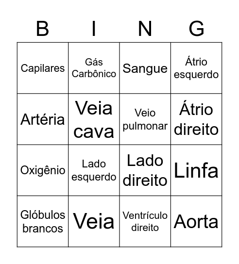 Sistema Circulatório Bingo Card