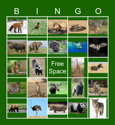 Wildlife Bingo Card