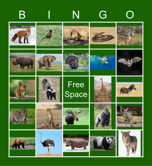 Wildlife Bingo Card