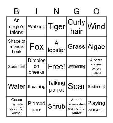Organisms and Environments Review Bingo Card