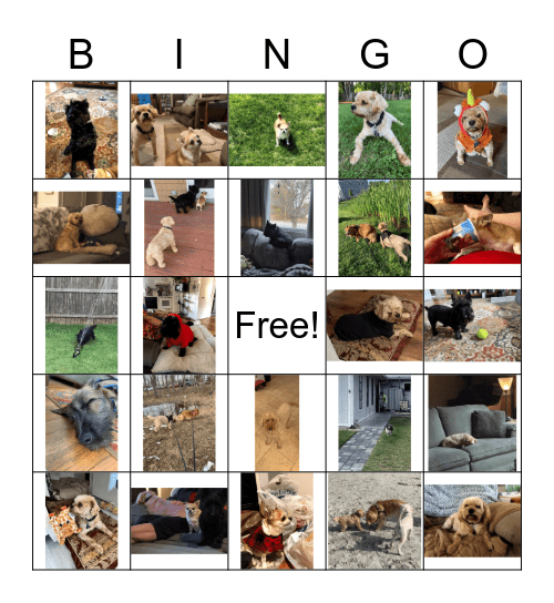 We Love our Animals Bingo Card